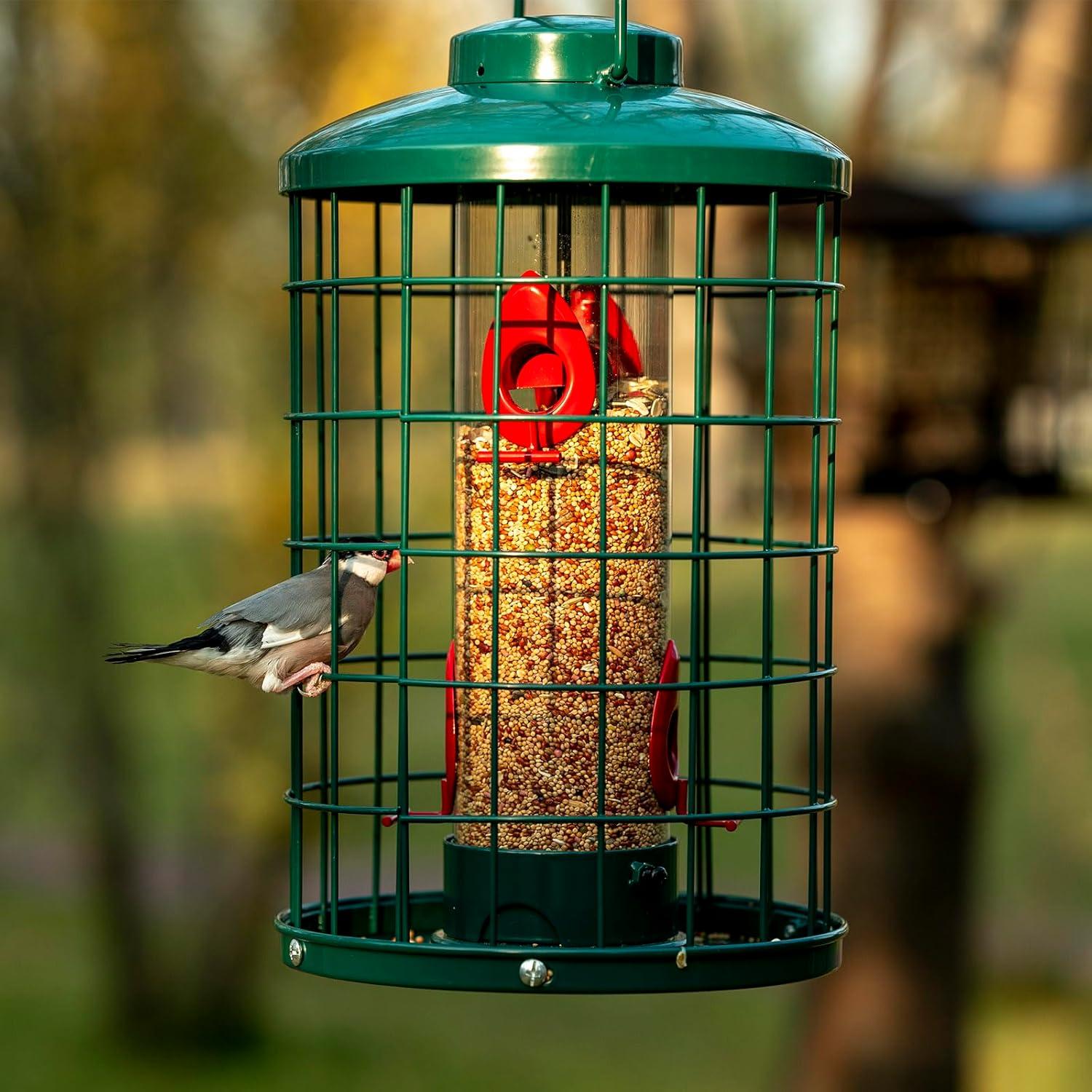 Comedero para Aves Mosloly Colgante Verde 1.36 kg Alta Resistencia