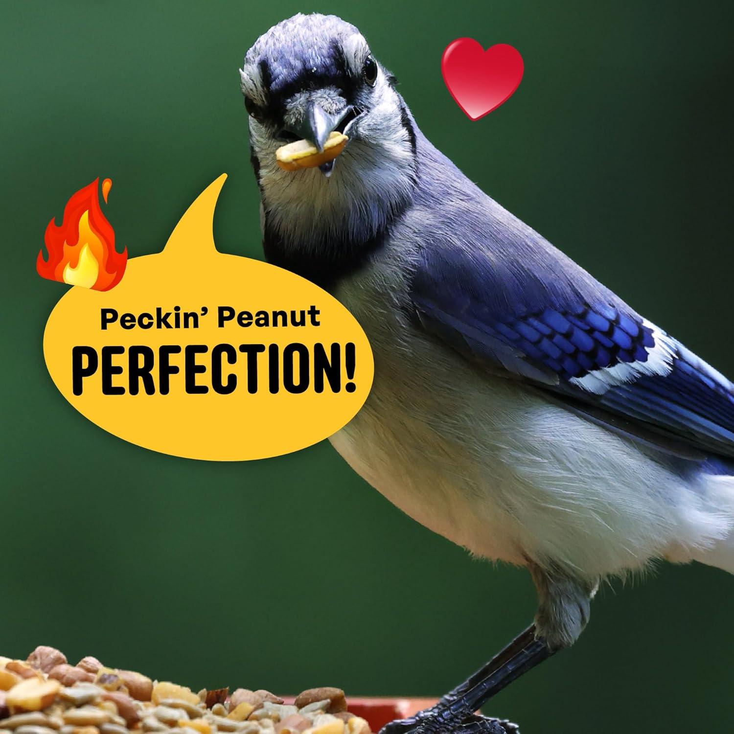 Semilla para Aves Picantes Sin Desorden 4.54 kg - Global Harvest Foods