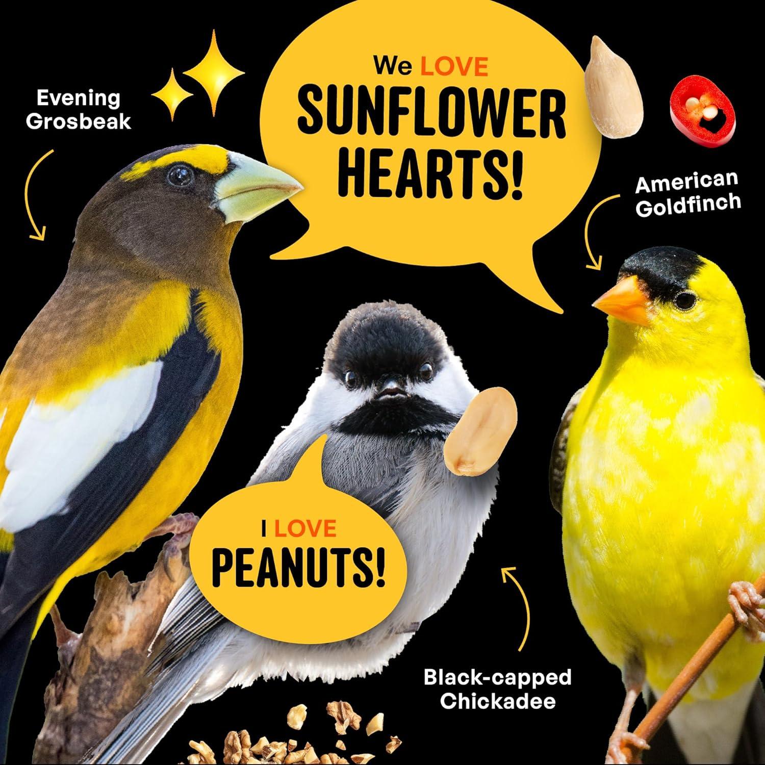 Semilla para Aves Picantes Sin Desorden 4.54 kg - Global Harvest Foods