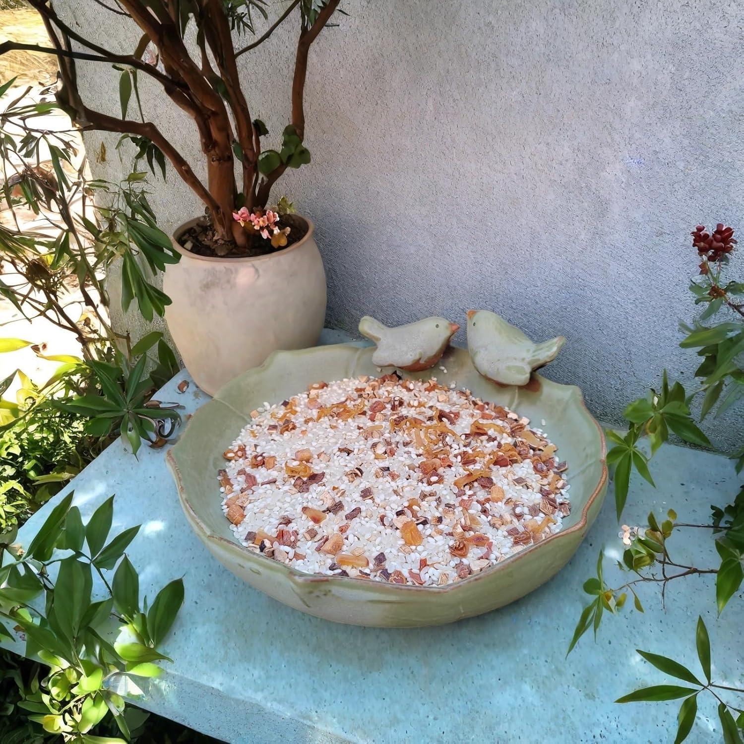 Baño de Aves de Cerámica Verde Bakayoyo 25.4 cm para Exterior