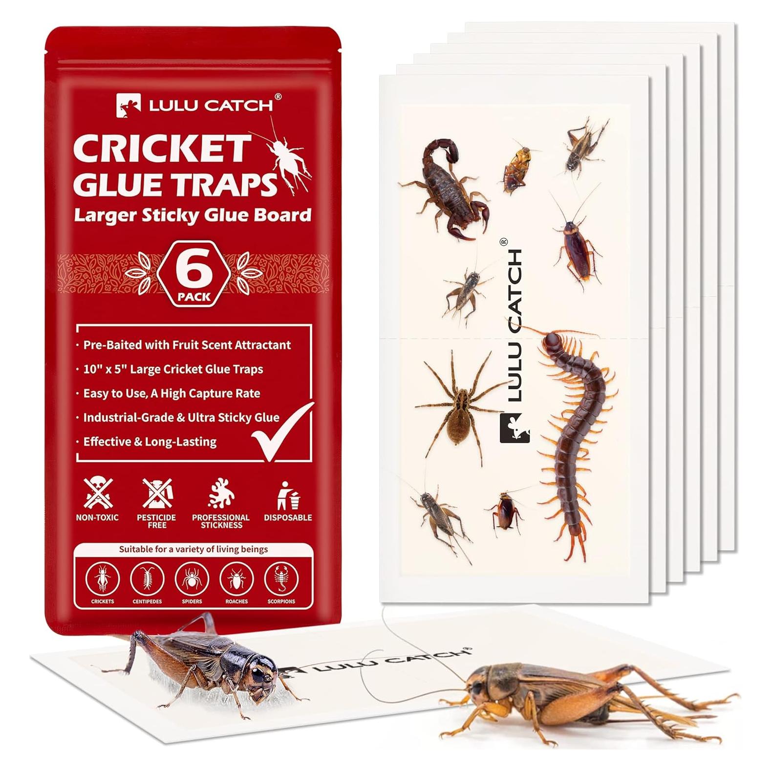 Trampas Adhesivas para Insectos LULUCATCH - Paquete de 6 Unidades