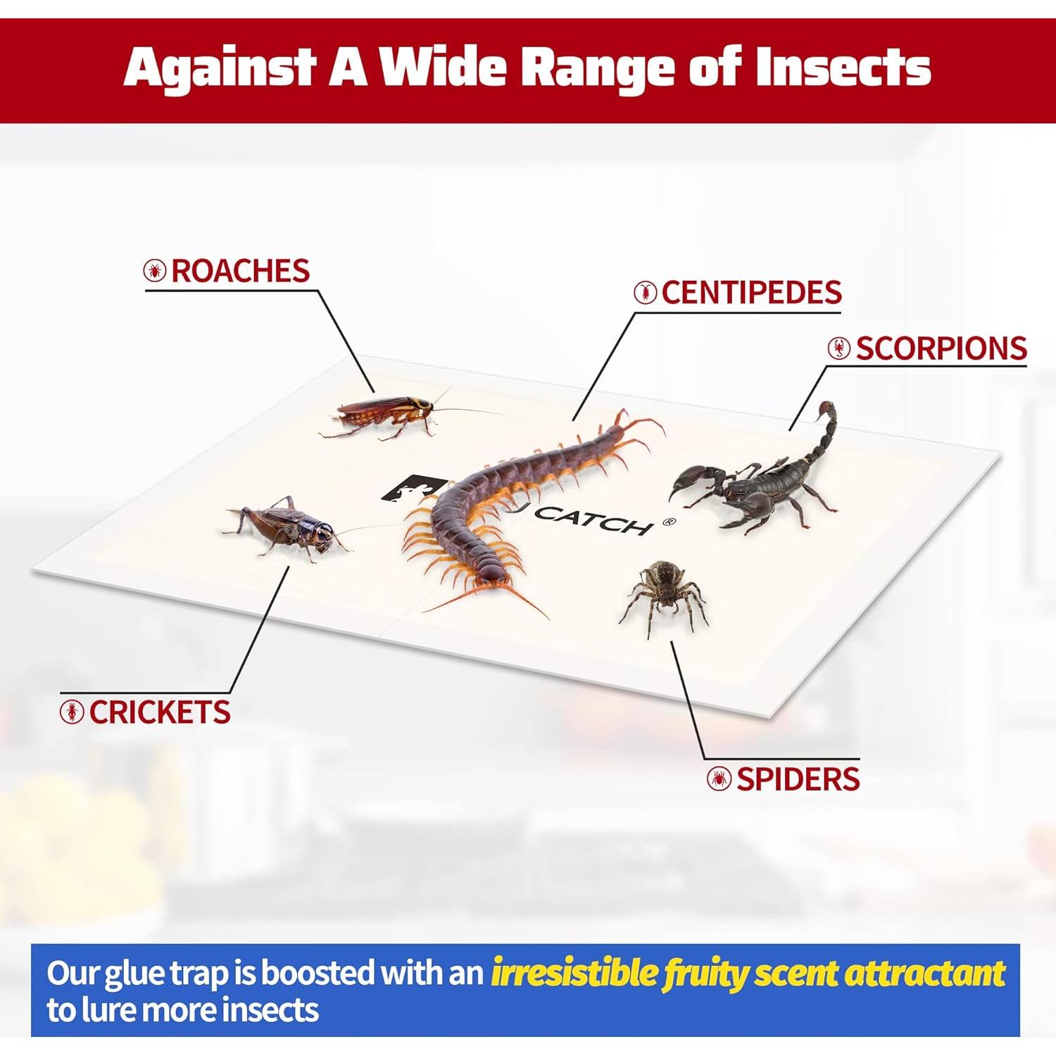 Trampas Adhesivas para Insectos LULUCATCH - Paquete de 6 Unidades
