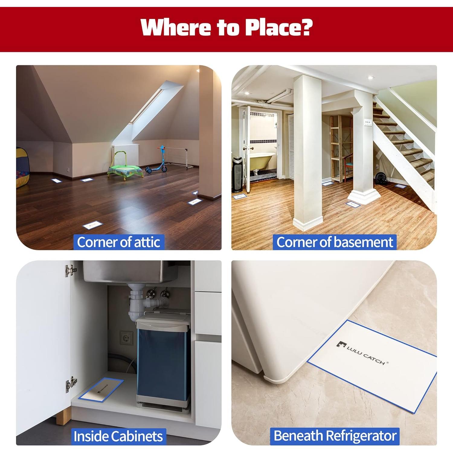 Trampas Adhesivas para Insectos LULUCATCH - Paquete de 6 Unidades