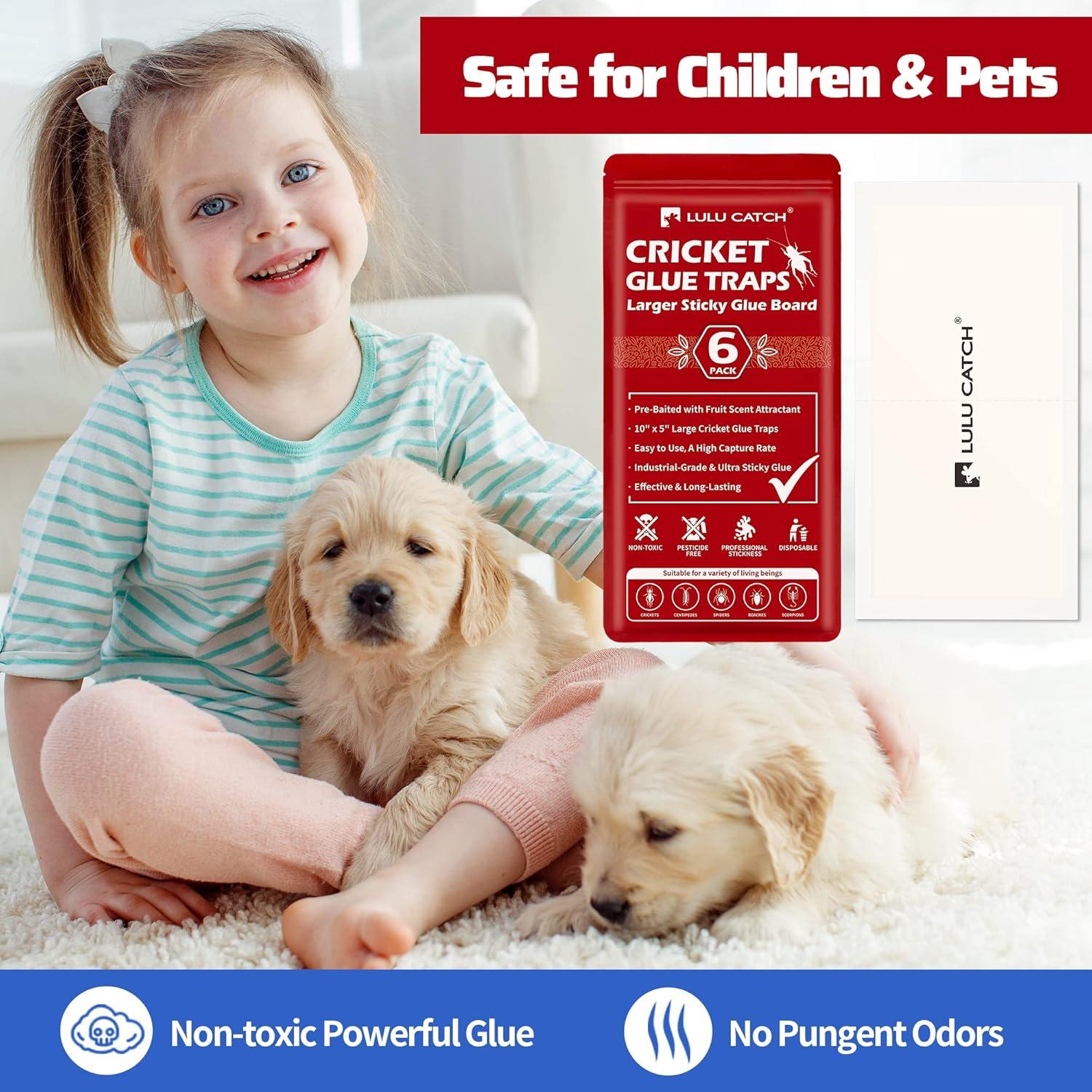 Trampas Adhesivas para Insectos LULUCATCH - Paquete de 6 Unidades