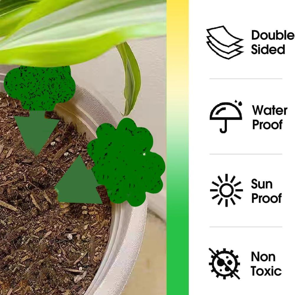 Trampas Pegajosas para Insectos Voladores Cleanuper 58 Pcs