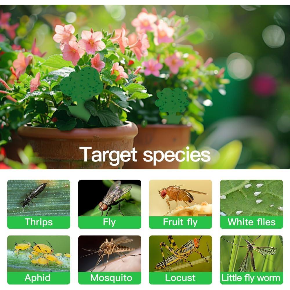 Trampas Pegajosas para Insectos Voladores Cleanuper 58 Pcs