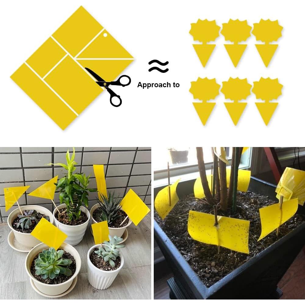 Trampa Adhesiva Amarilla para Moscas de Fruta Kensizer 50-Pack