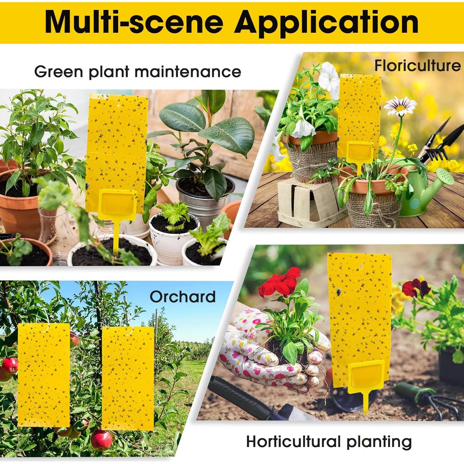Trampas Adhesivas para Mosquitos Qualirey 220 Pcs Amarillo