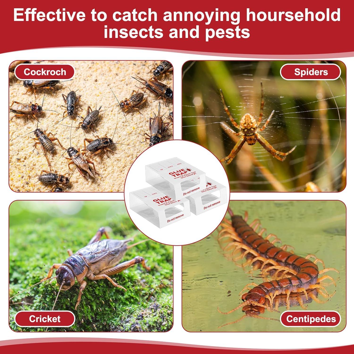 Trampas Adhesivas para Insectos Qualirey 50 Hojas 150 Trampas