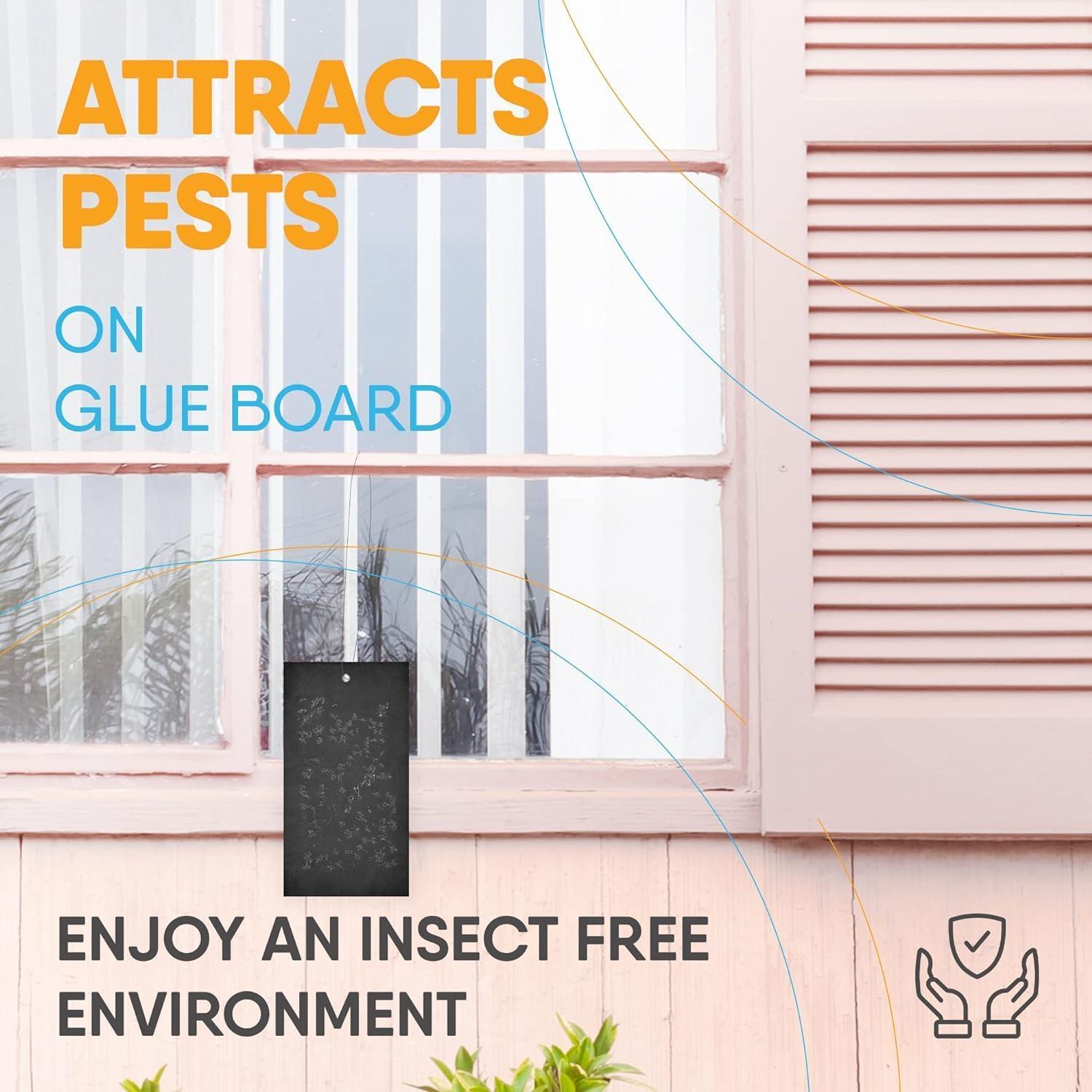 Tableros de Pegamento Gardner FlyWeb Classic - 10 Unidades