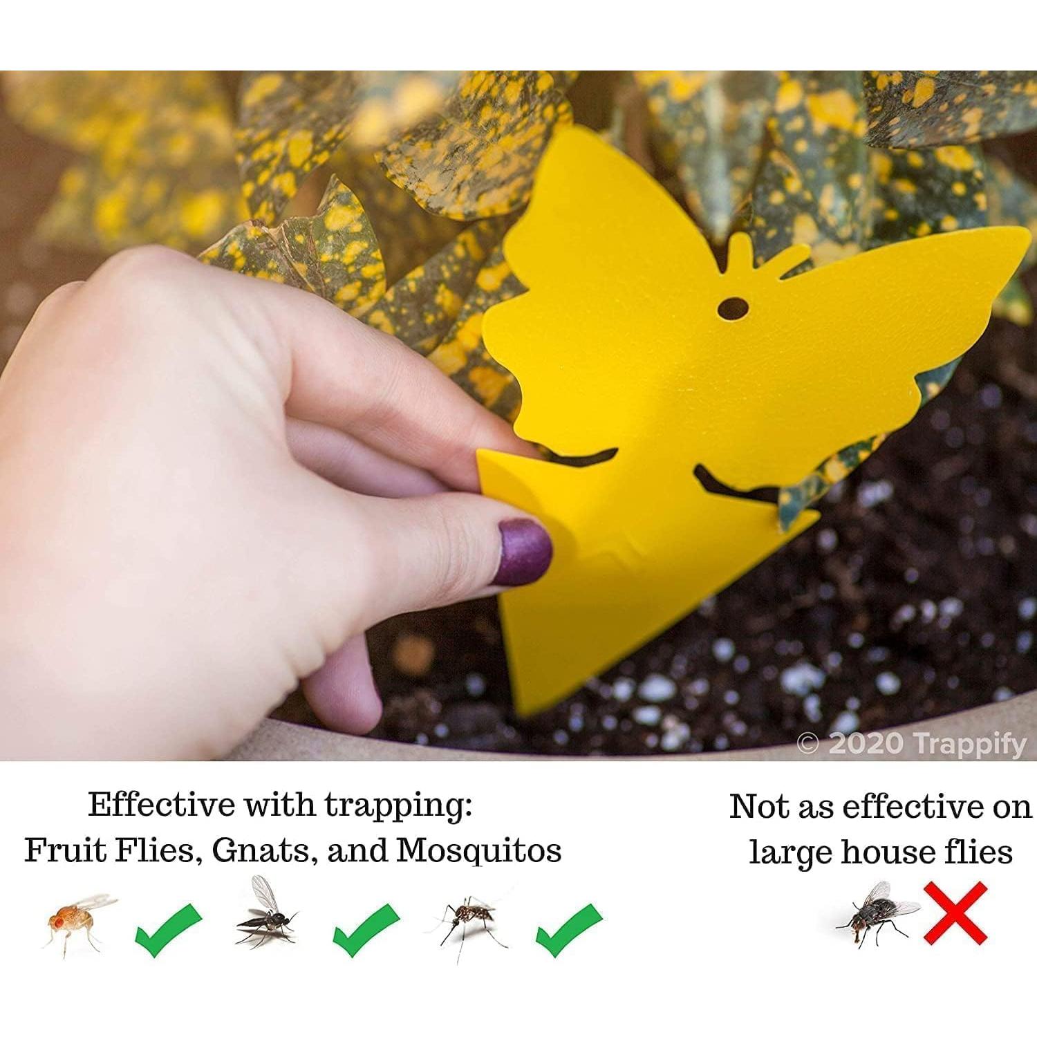 Trampas Adhesivas para Mosquitos Trappify - 100 Unidades Amarillas
