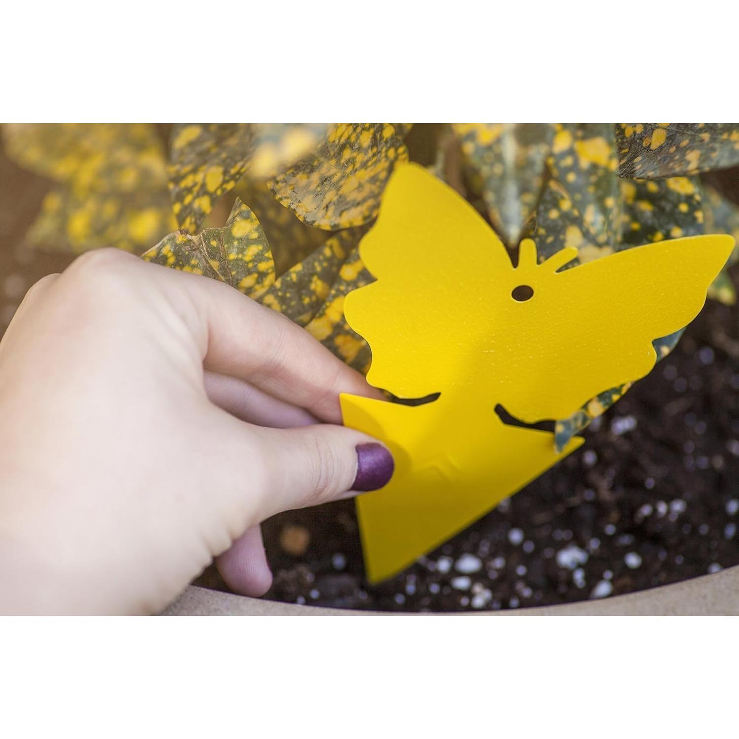 Trampas Adhesivas para Mosquitos Trappify - 100 Unidades Amarillas