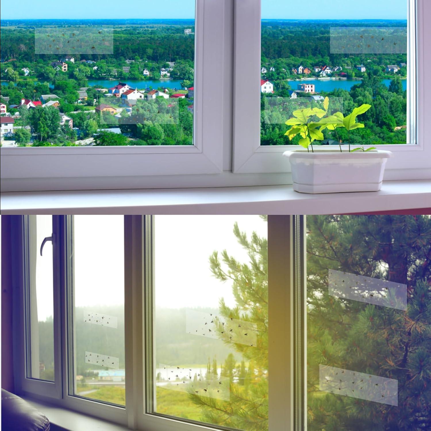 Trampas Adhesivas para Moscas Mosqueda - Paquete de 30 Unidades