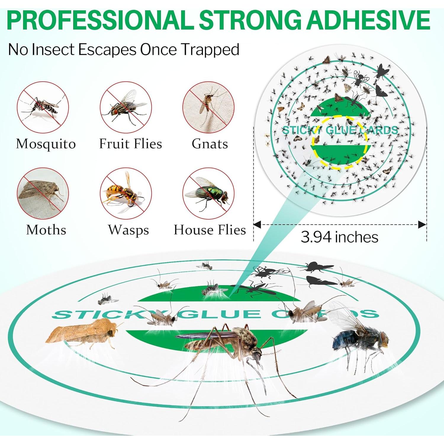 20 Almohadillas de Pegamento Qualirey para Trampa STEM 10 cm