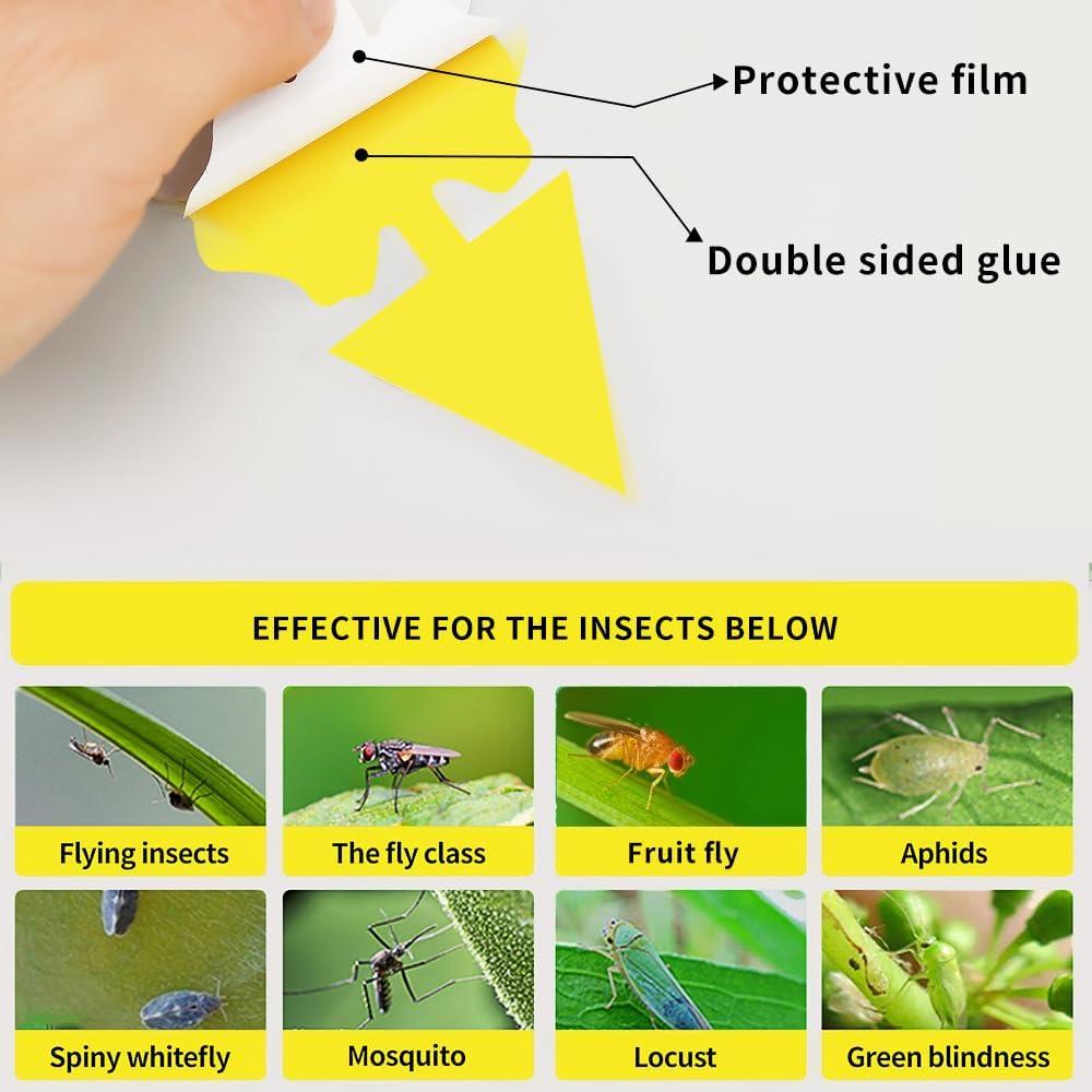 Trampa Adhesiva Amarilla Greenkeeper 48 Pcs para Insectos