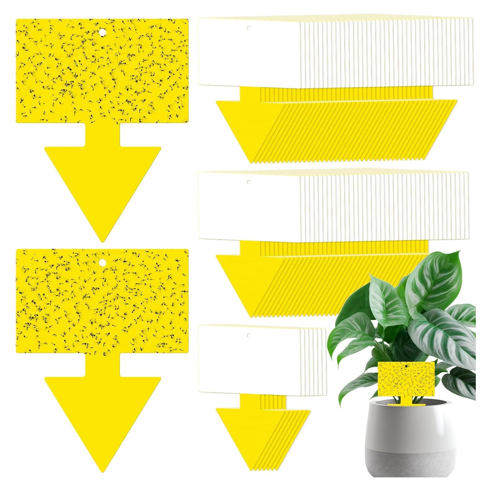 Trampas para Moscas de Fruta Qualirey 100 Pcs Amarillo