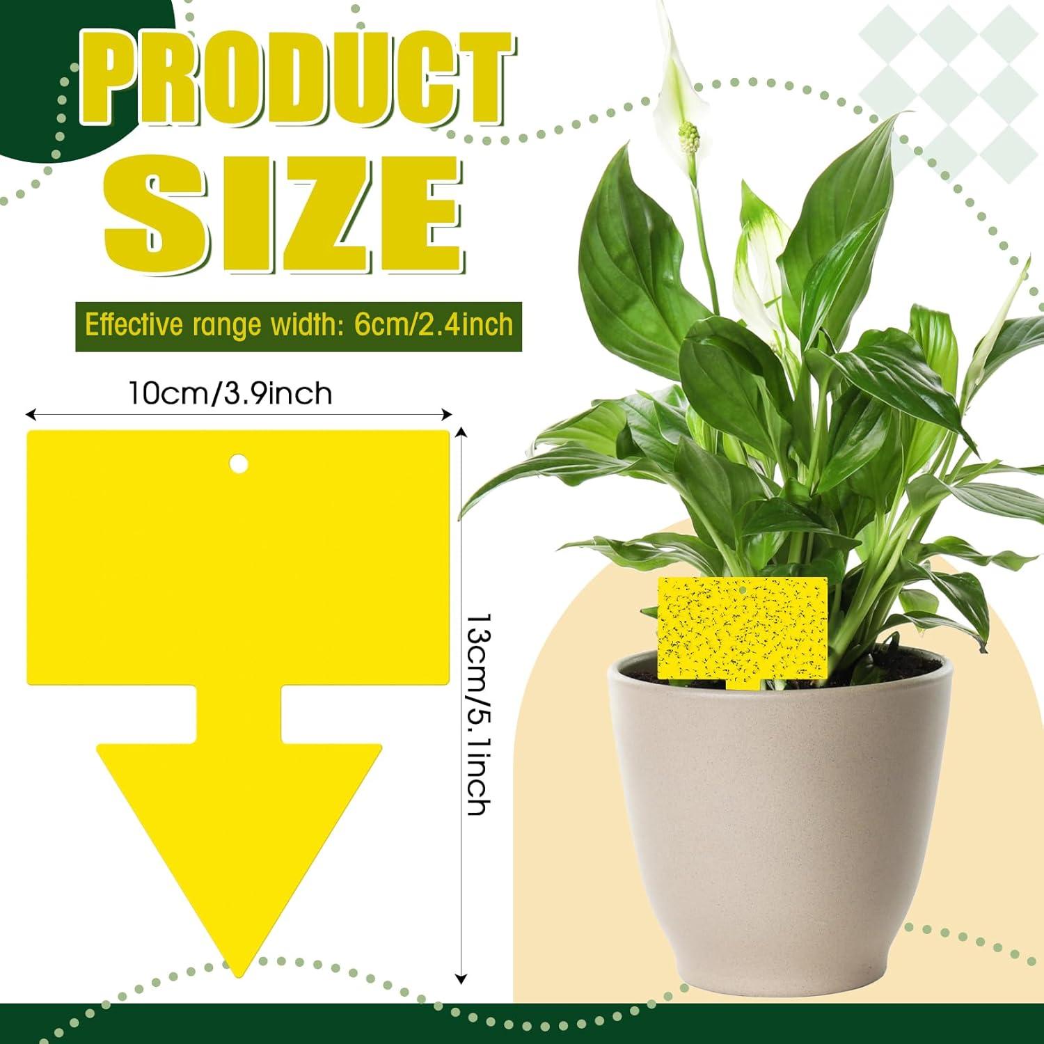 Trampas para Moscas de Fruta Qualirey 100 Pcs Amarillo