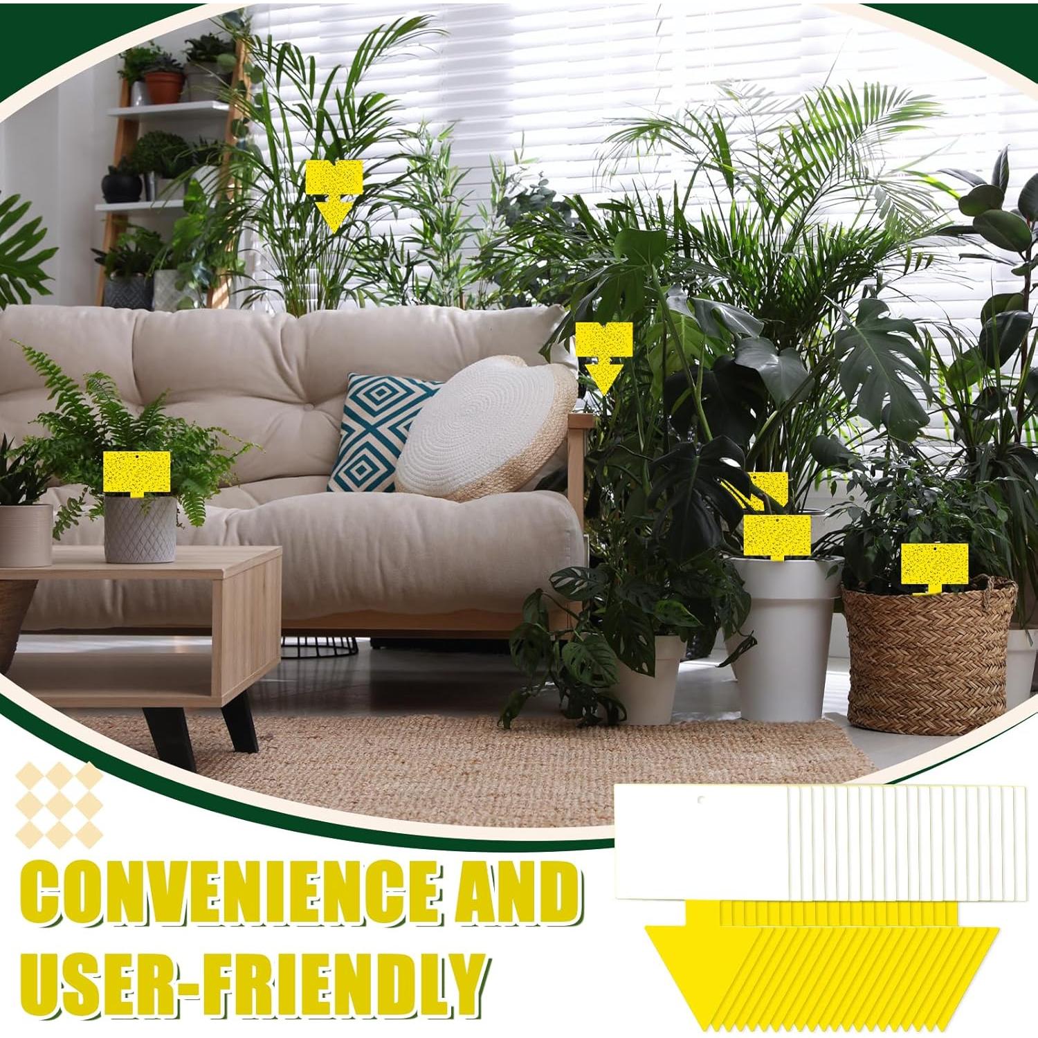 Trampas para Moscas de Fruta Qualirey 100 Pcs Amarillo