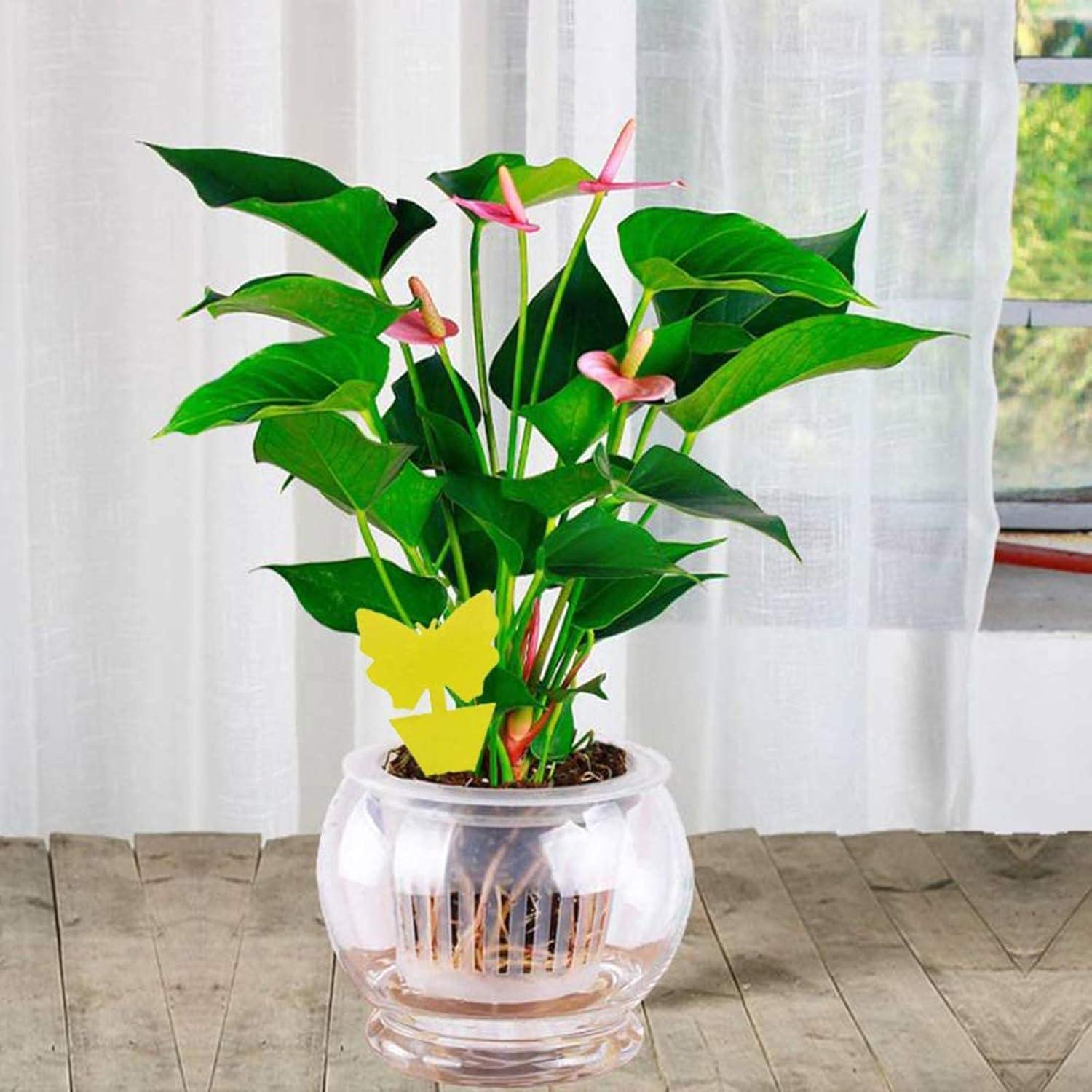 Trampas Adhesivas Amarillas Faicuk para Plantas - 20 Unidades