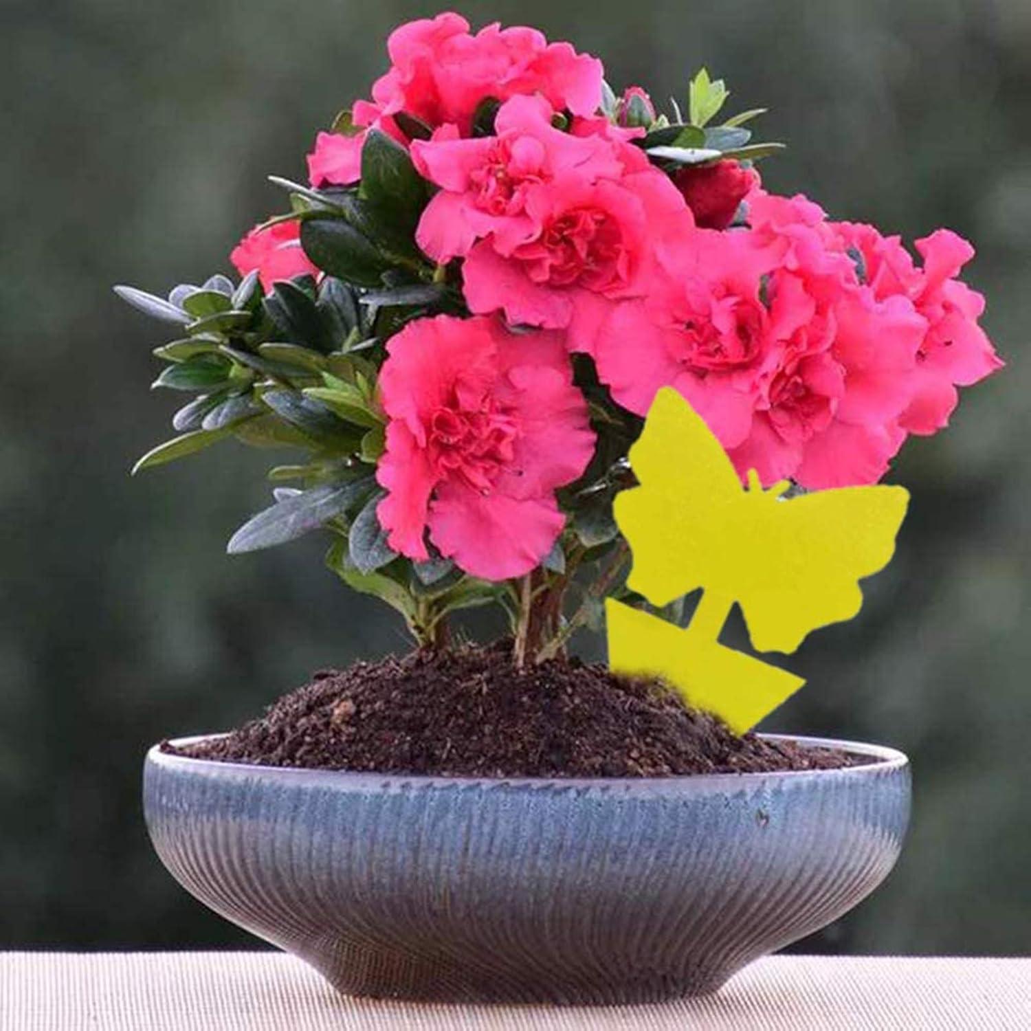 Trampas Adhesivas Amarillas Faicuk para Plantas - 20 Unidades