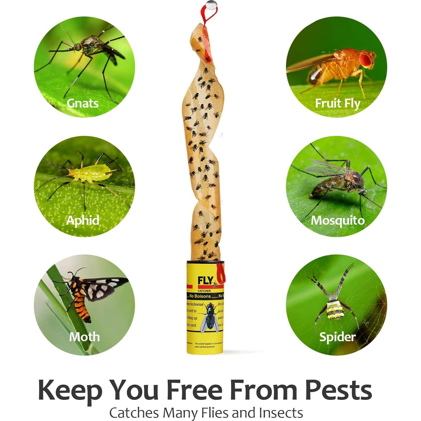 Trampas Adhesivas para Moscas USKICH - 35 Unidades Efectivas