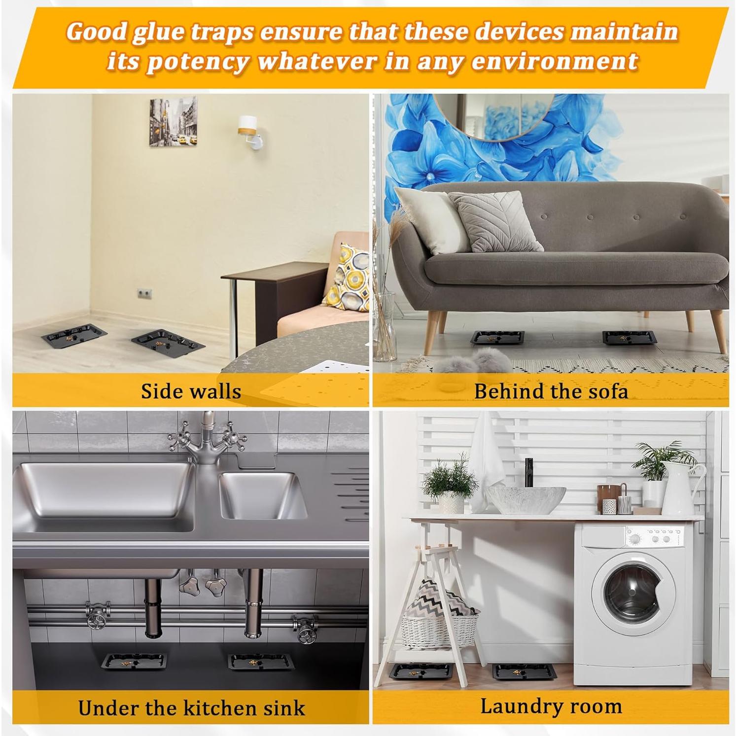 Trampas de Pegamento para Ratones Qualirey 36 Piezas No Tóxicas