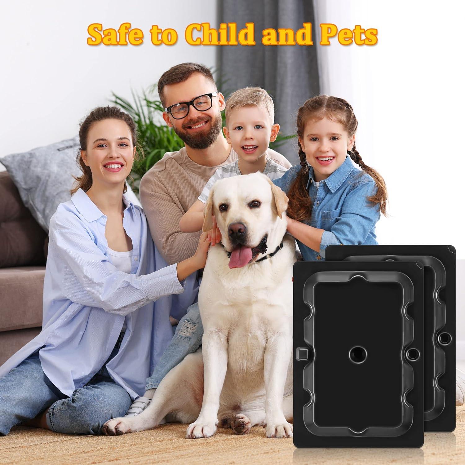 Trampas de Pegamento para Ratones Qualirey 36 Piezas No Tóxicas