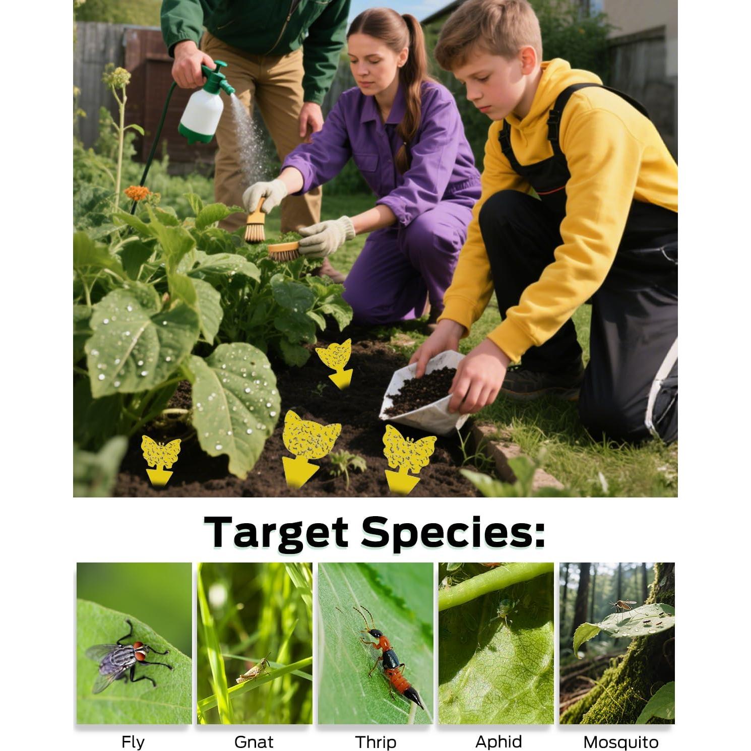 Trampas Adhesivas para Mosquitos Carbelina 50pcs Amarillo