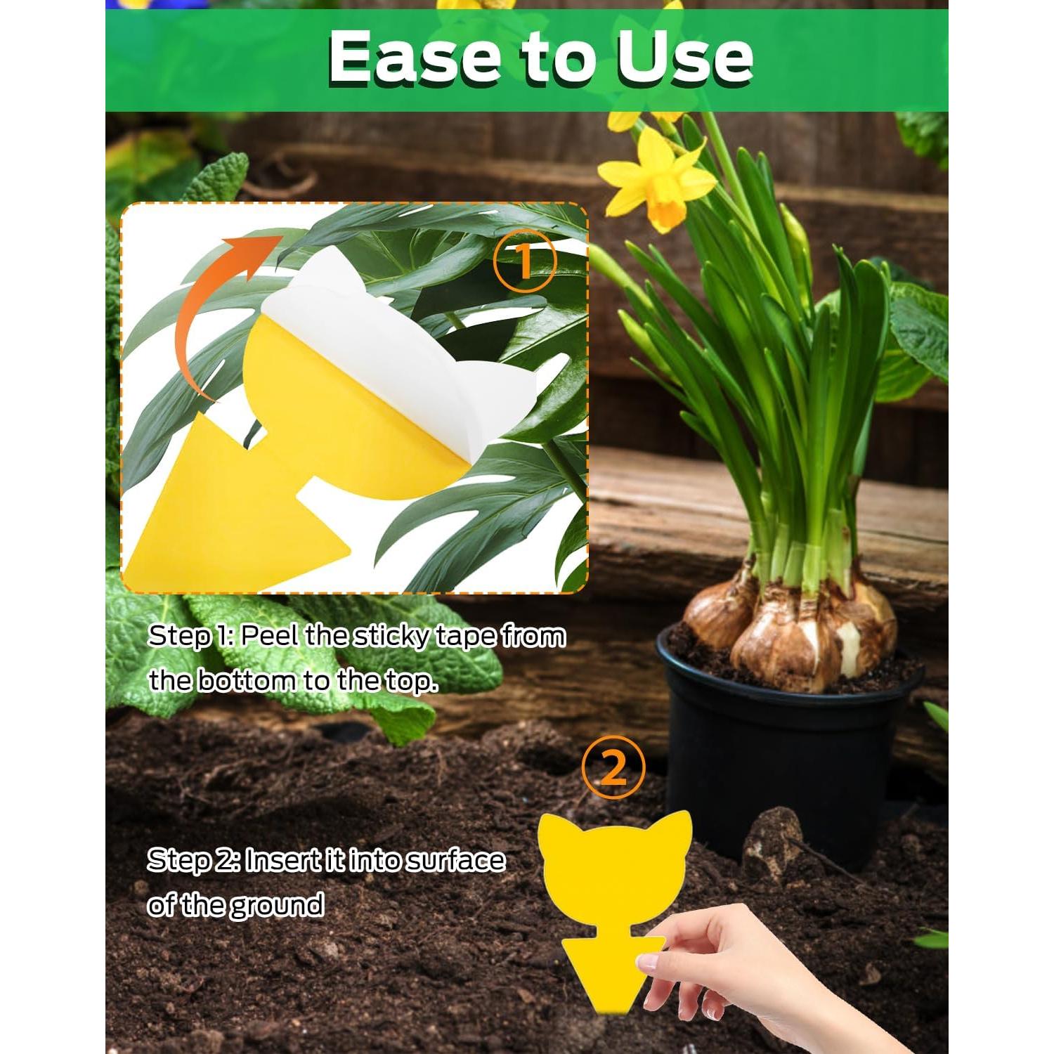 Trampas Adhesivas para Mosquitos Carbelina 50pcs Amarillo