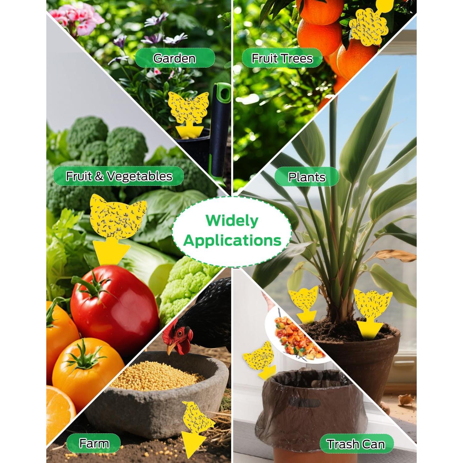 Trampas Adhesivas para Mosquitos Carbelina 50pcs Amarillo