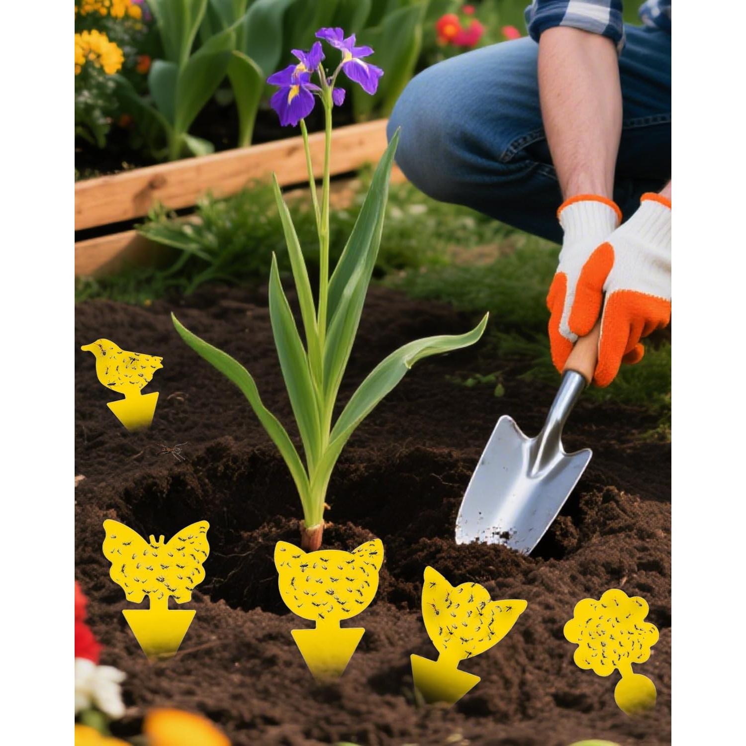 Trampas Adhesivas para Mosquitos Carbelina 50pcs Amarillo