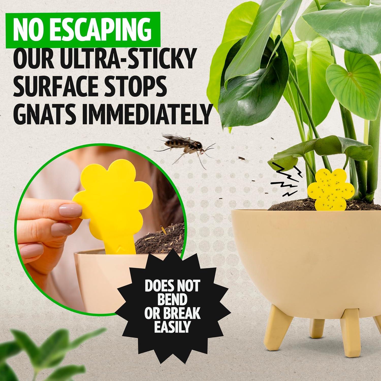 Trampas para Mosquitos Super Ninja - Paquete de 30 Unidades