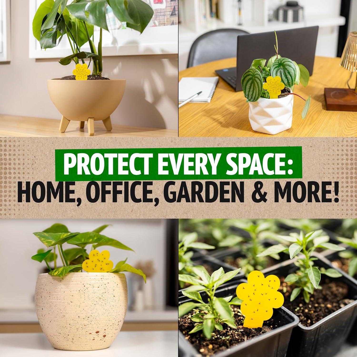 Trampas para Mosquitos Super Ninja - Paquete de 30 Unidades