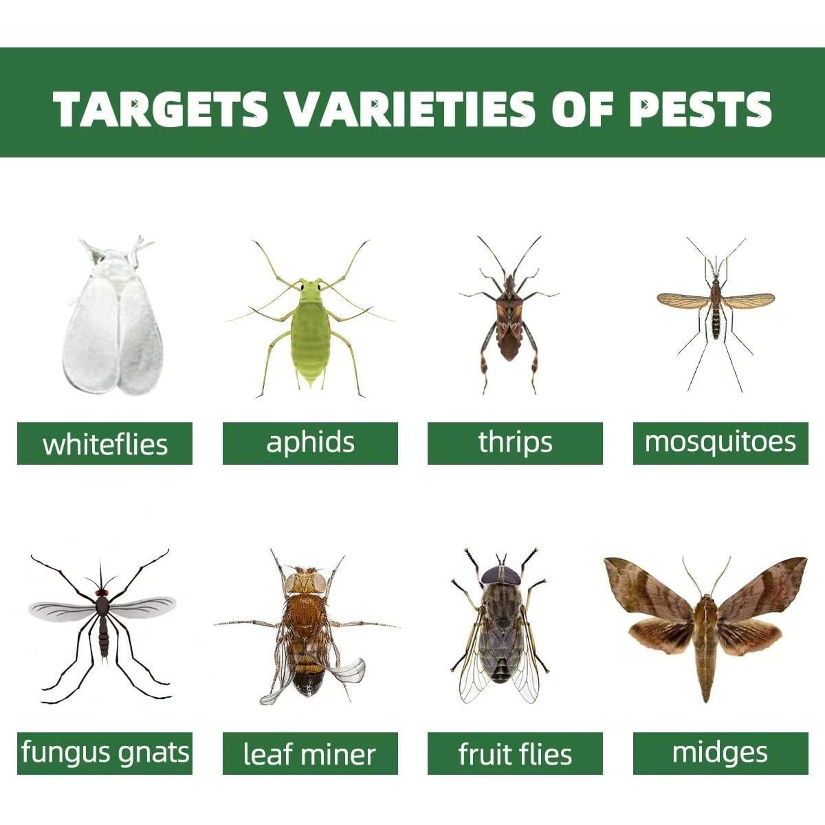 Trampas Adhesivas Amarillas en Flor Sevenlakes - 36 Unidades