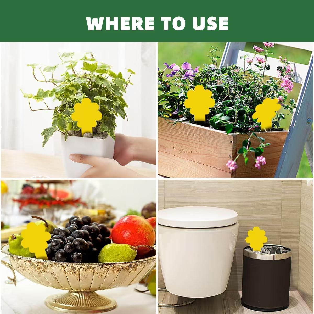 Trampas Adhesivas Amarillas en Flor Sevenlakes - 36 Unidades