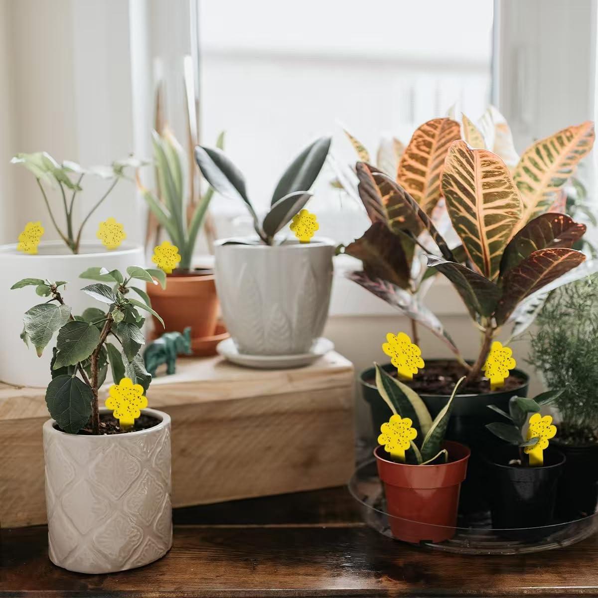 Trampas Adhesivas Amarillas en Flor Sevenlakes - 36 Unidades