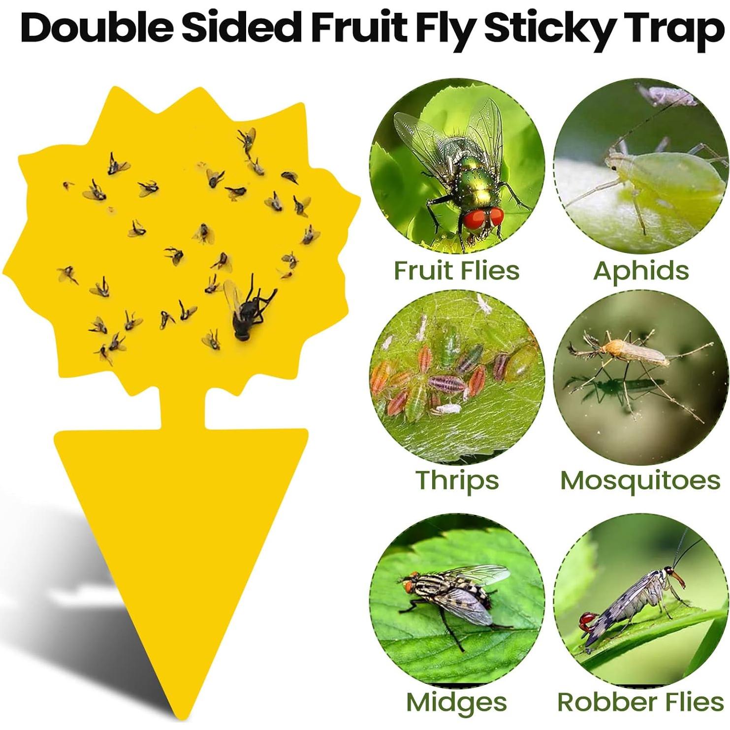 Trampas Adhesivas para Moscas de Fruta Qualirey 200 Hojas Amarillo