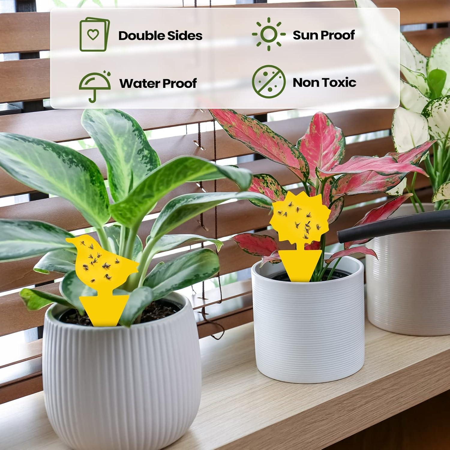 Trampas Adhesivas para Moscas de Fruta Qualirey 200 Hojas Amarillo