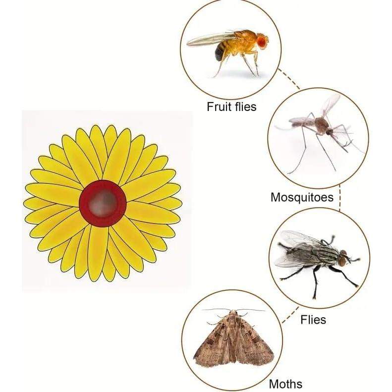 Trampa de Moscas de Ventana Lulurose - Paquete de 20 Unidades