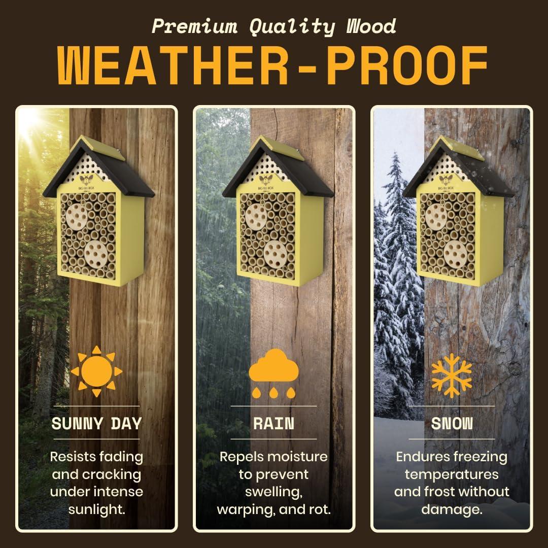 Casa de Abejas WildYard - Refugio de Madera Natural 25cm