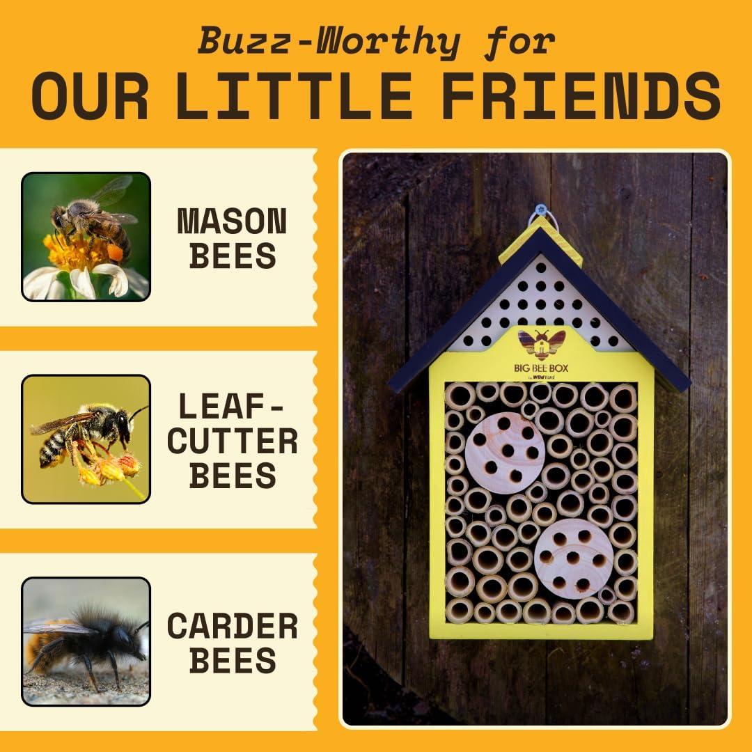 Casa de Abejas WildYard - Refugio de Madera Natural 25cm