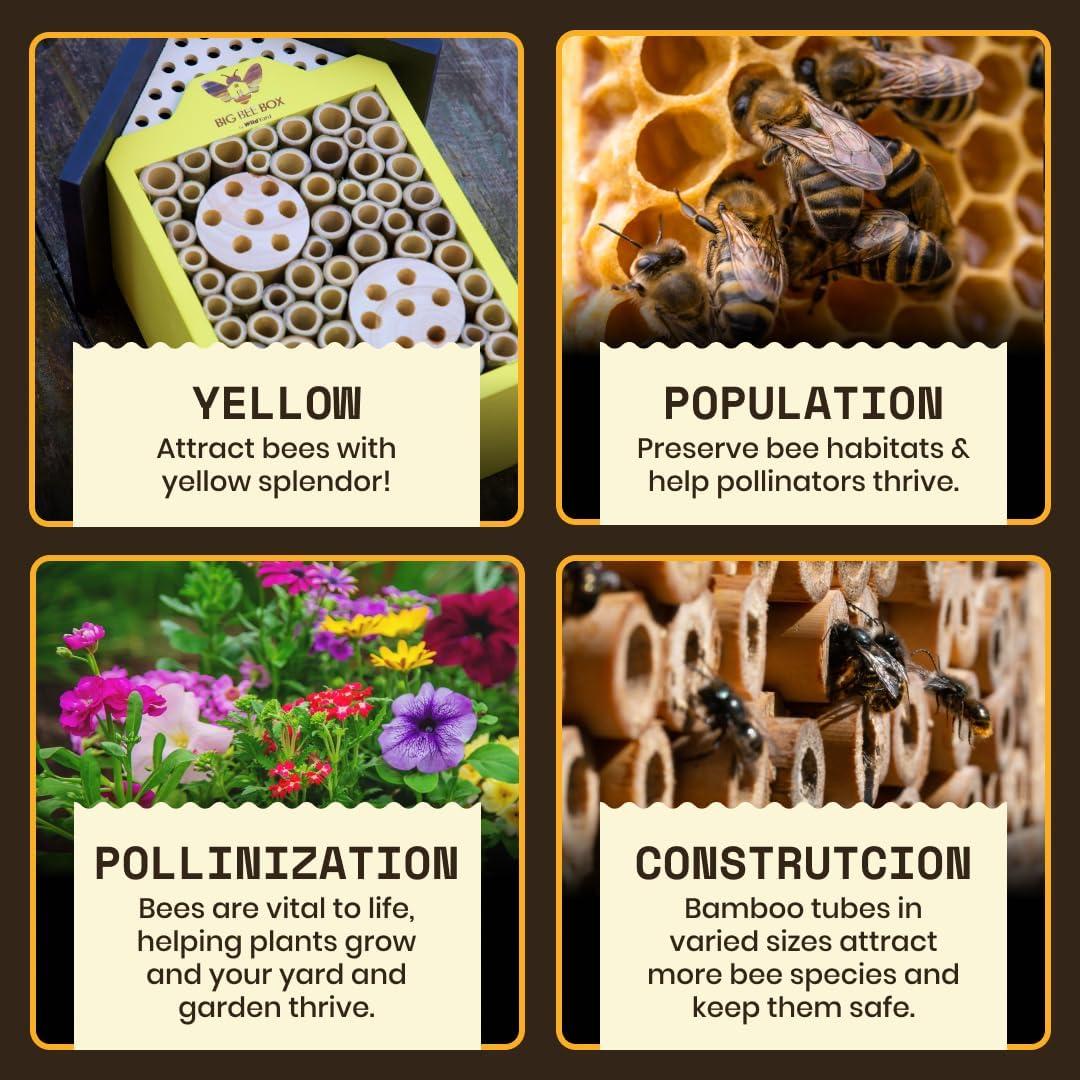 Casa de Abejas WildYard - Refugio de Madera Natural 25cm