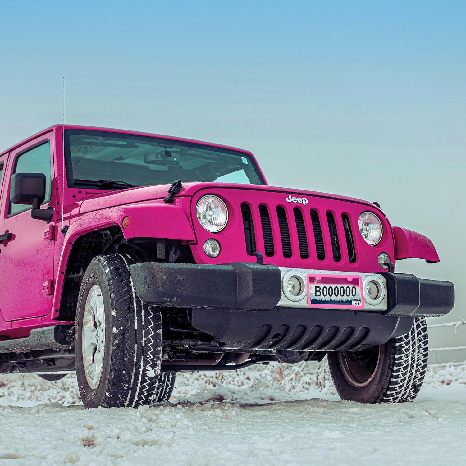 Marco de Placa de Licencia Rosa Carsories Universal 30.99x16cm