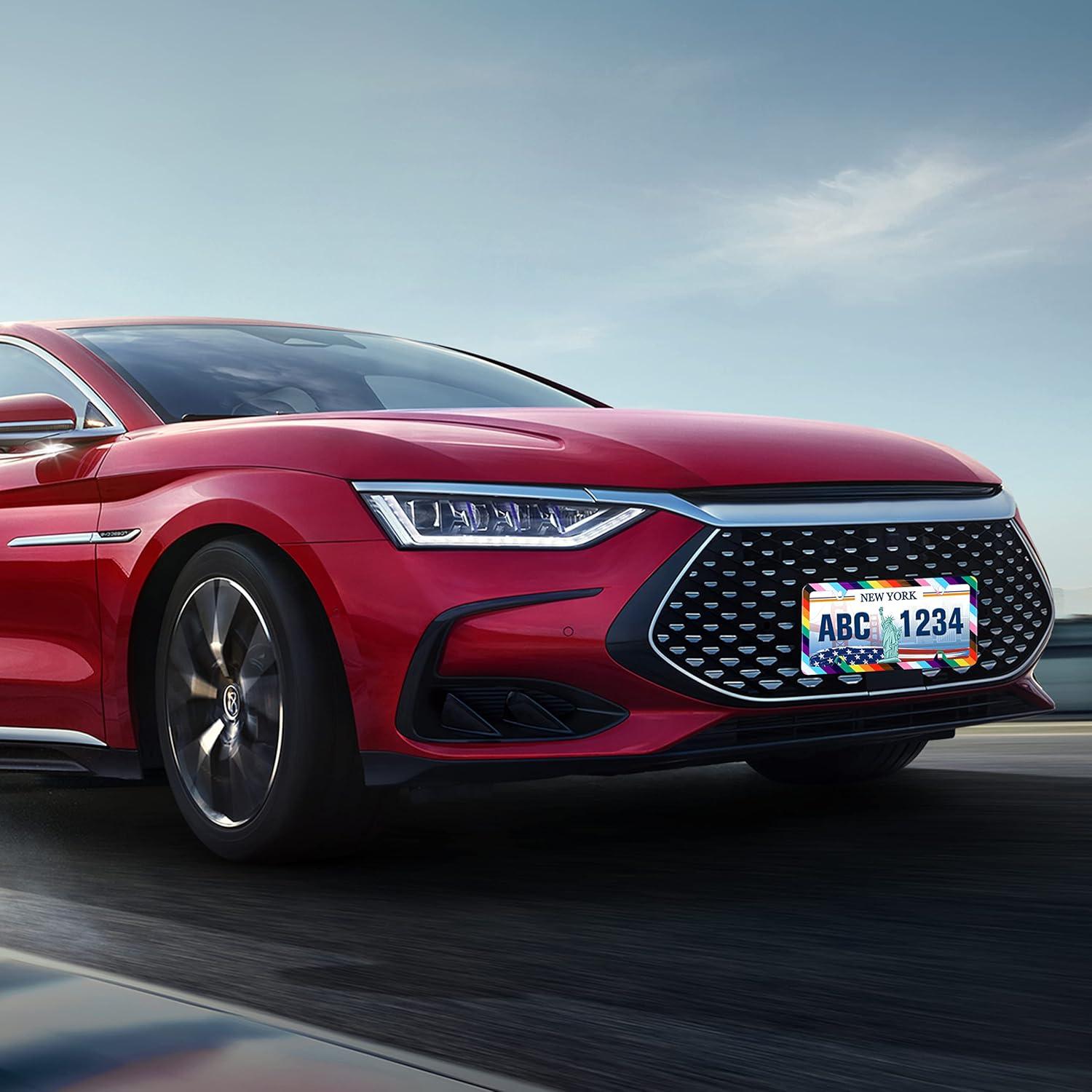 Marco de Placa de Licencia Arcoíris LGBT UNINDREM 31x16cm