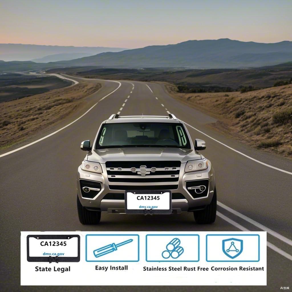 Marco de Placa de Licencia Brillante Bling Dynasty Negro