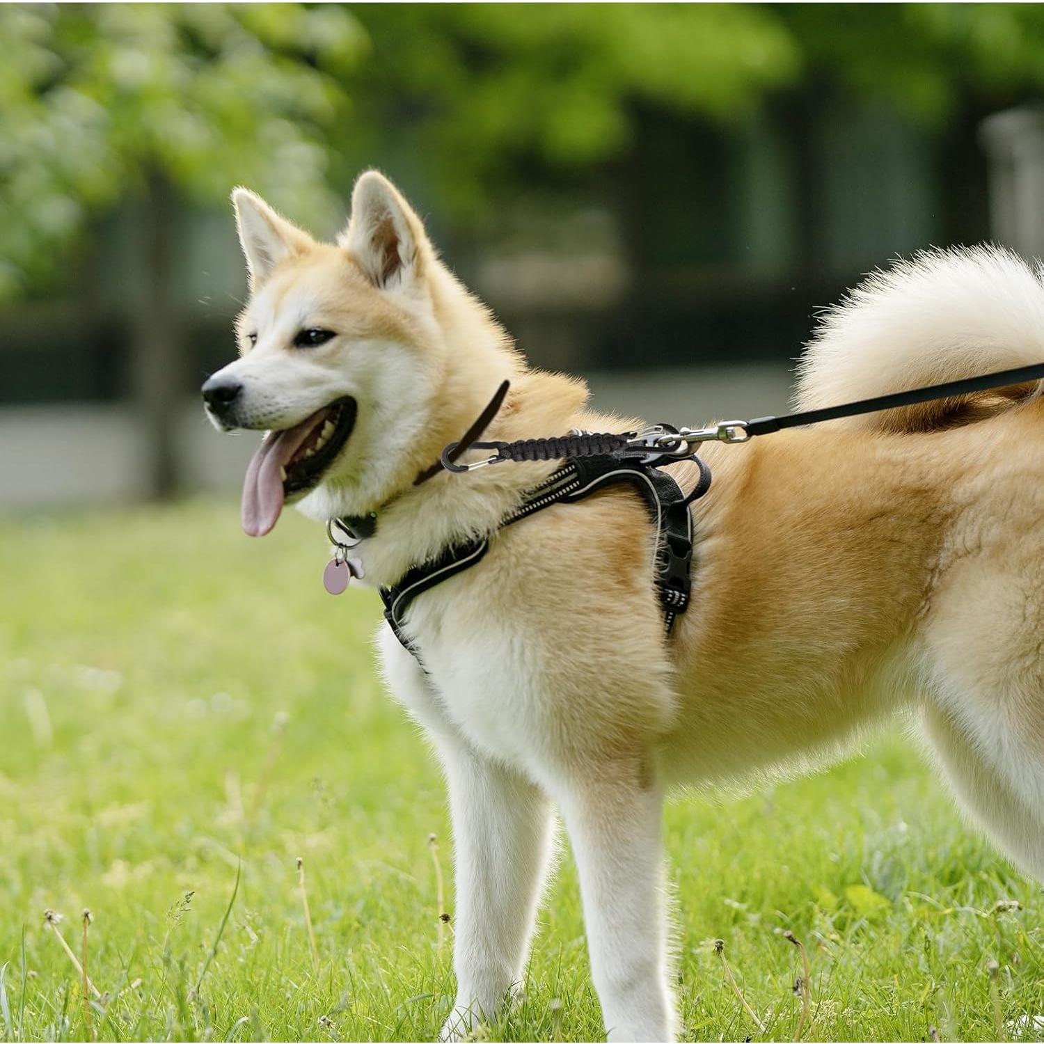 Clip de Seguridad para Correa de Perro Maxqzin DY1760, 16.6cm