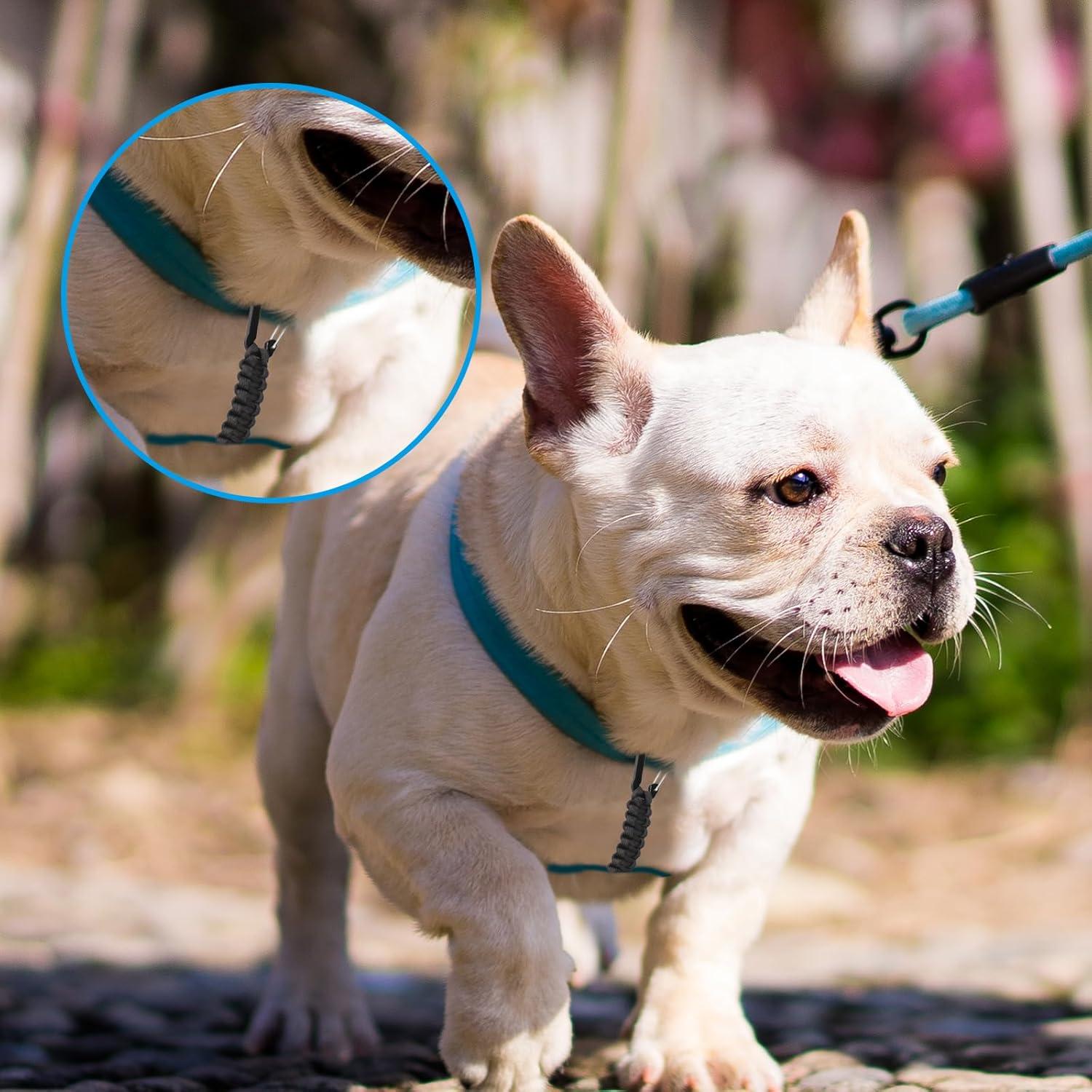 Clip de Seguridad para Correa de Perro Maxqzin DY1760, 16.6cm