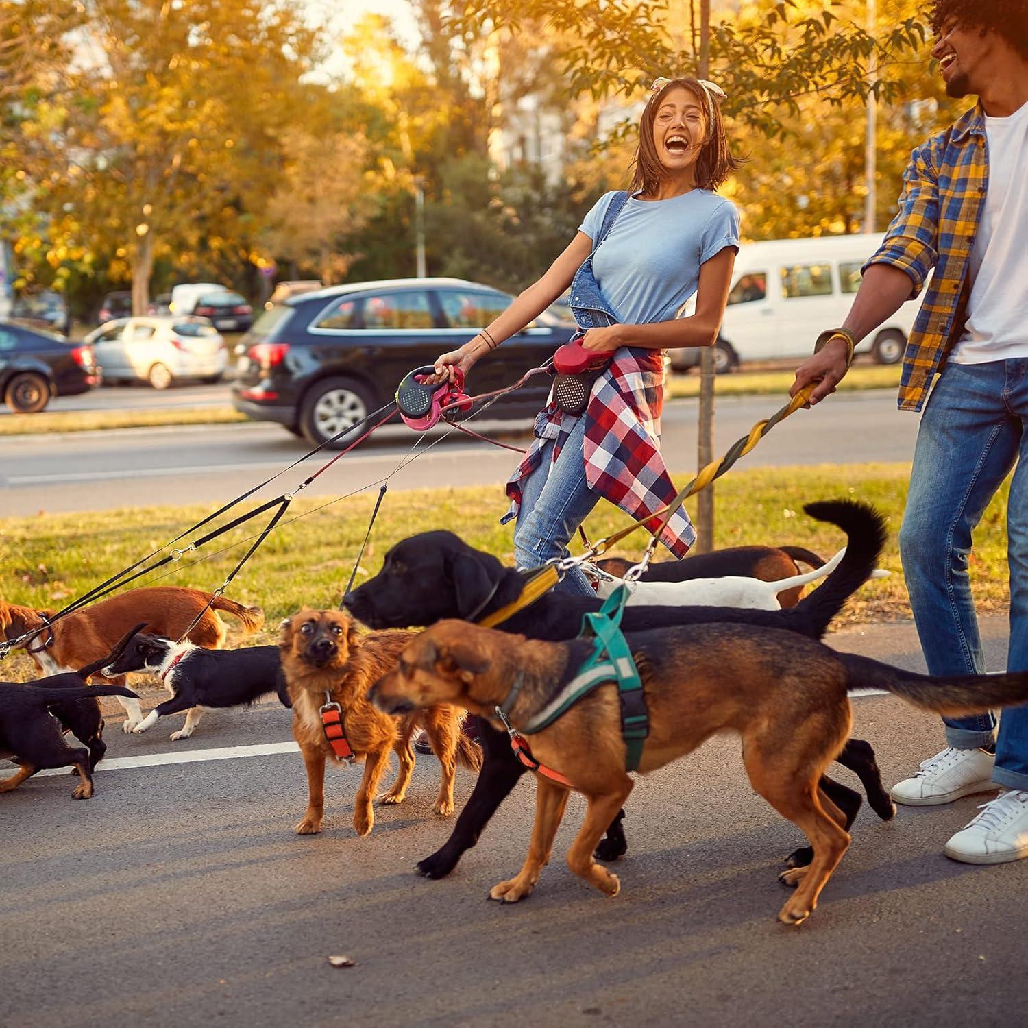 Clip de Collar de Perro Saintrygo 8 Piezas Ajustable Nylon