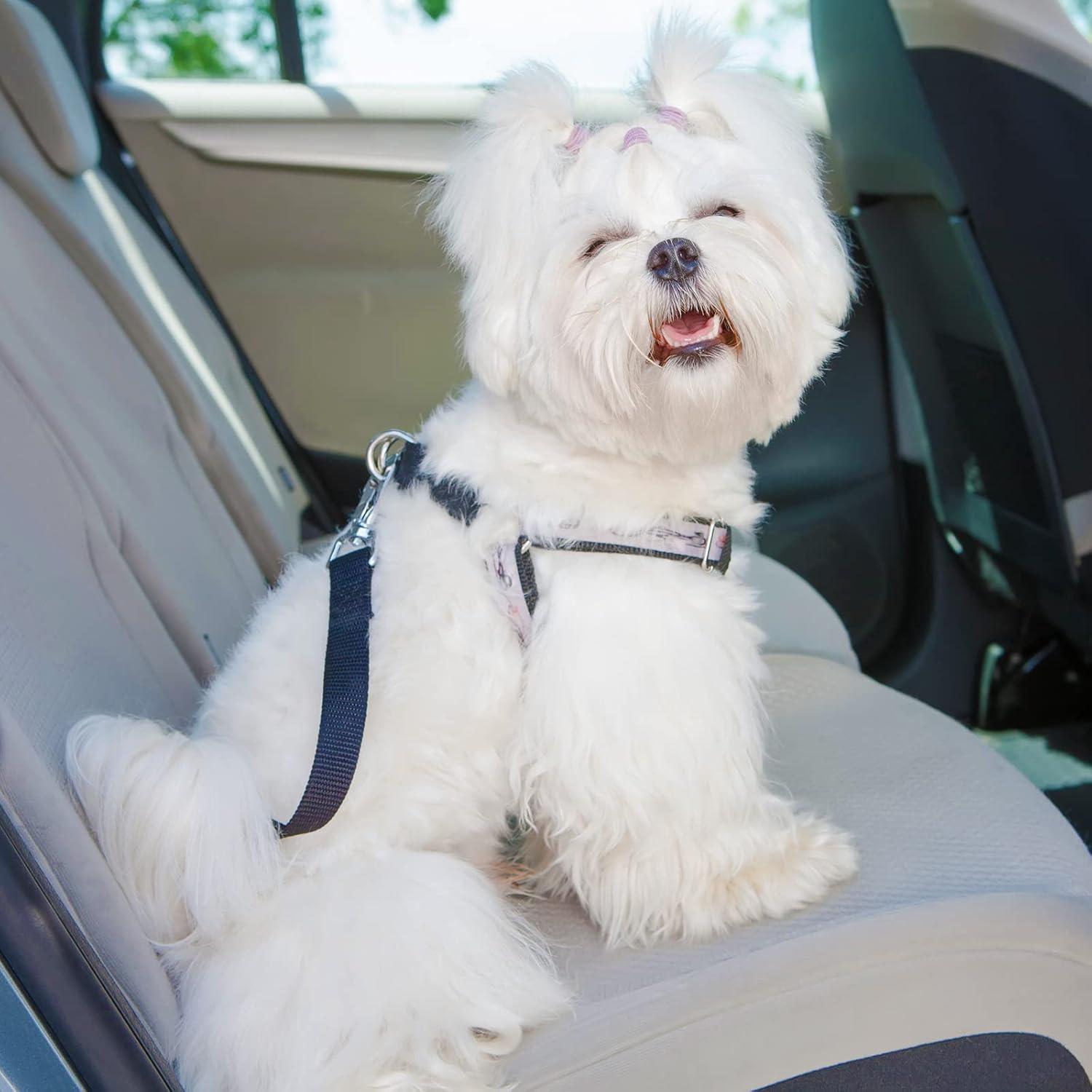 Clip de Collar de Perro Saintrygo 8 Piezas Ajustable Nylon