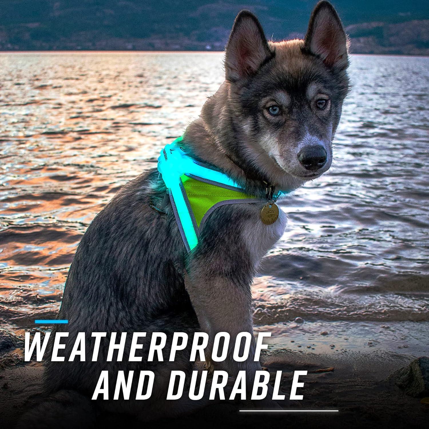 Arnés Iluminado Noxgear LightHound Grande Reflectante USB